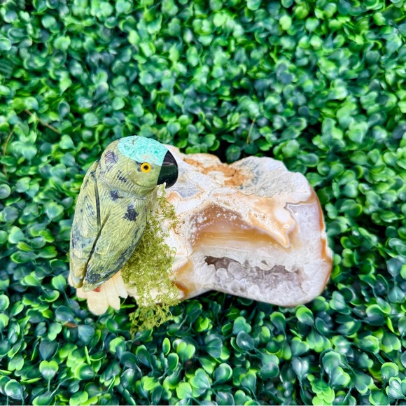 Parrot carving on Agate Geode – Symbol of Awakening & Joy - Picture 4 of 6